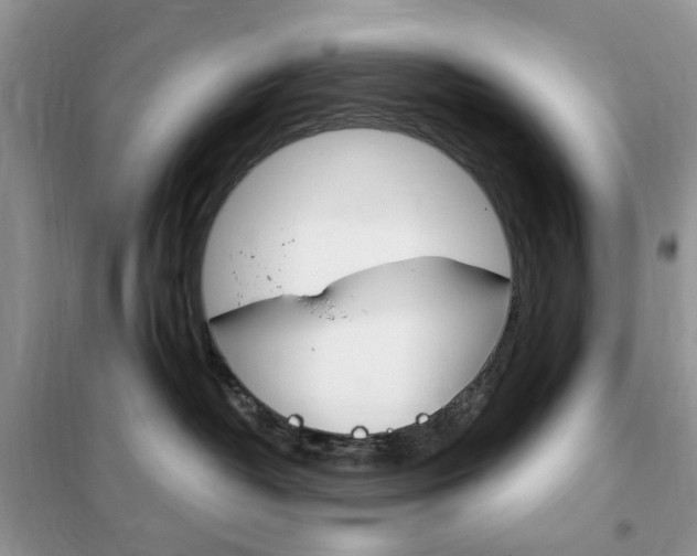 X0000102340382200808010918