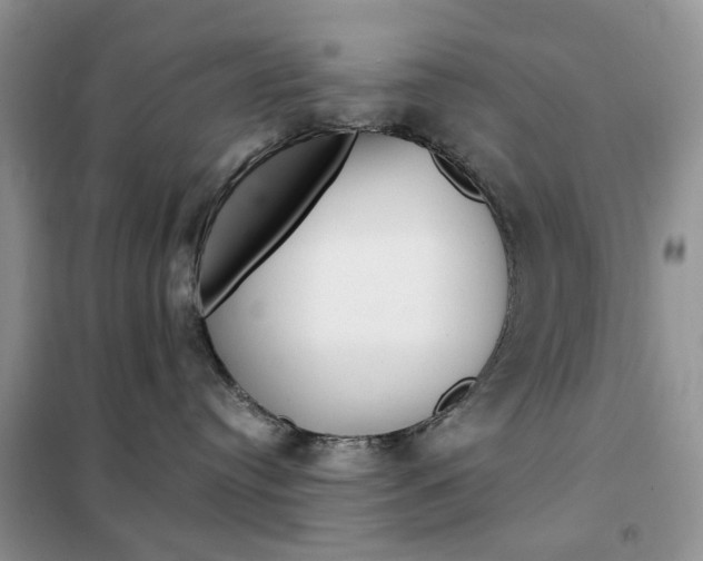 X0000102340384200808010918