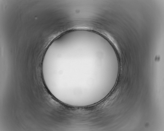 X0000102340385200808010918