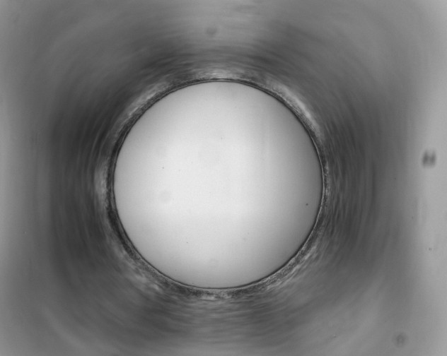 X0000102340386200808010918