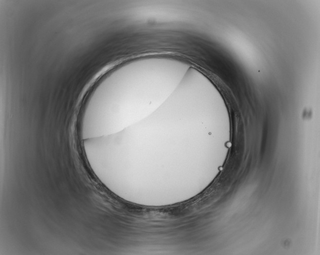 X0000102340387200808010918