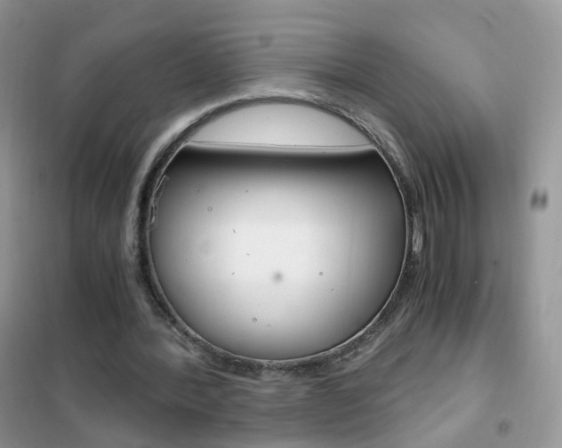 X0000102340388200808010918