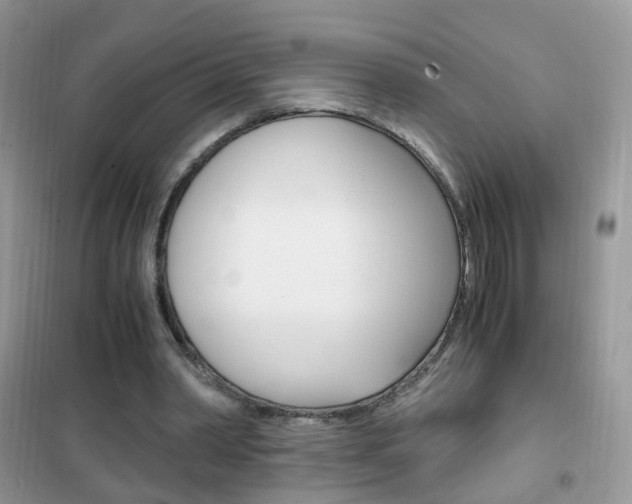 X0000102340390200808010917