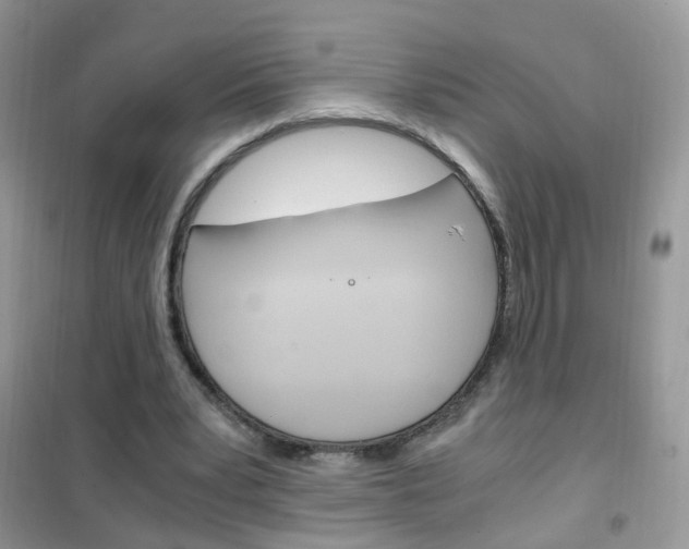 X0000102340391200808010917