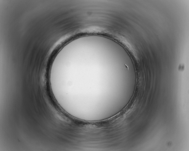 X0000102340392200808010917