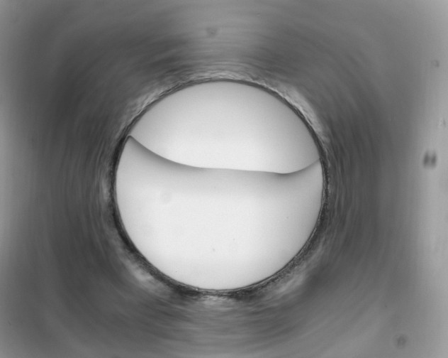 X0000102340393200808010917