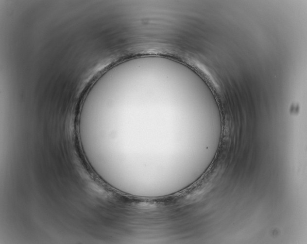 X0000102340394200808010917