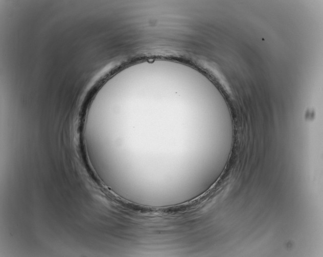 X0000102340395200808010917
