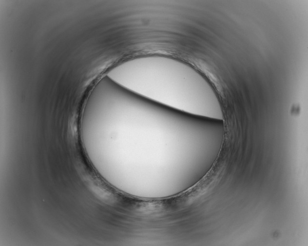 X0000102340398200808010917