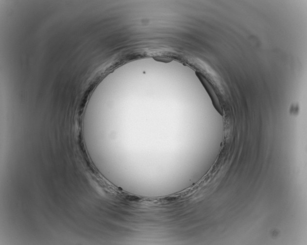 X0000102340405200808010917