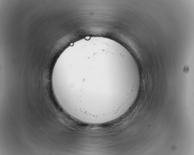 X0000102340407200808010917