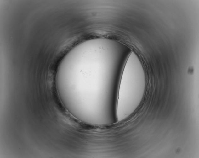 X0000102340412200808010917