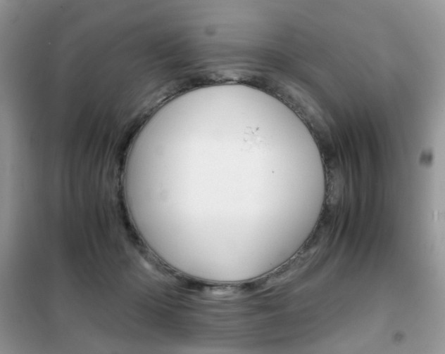 X0000102340414200808010917