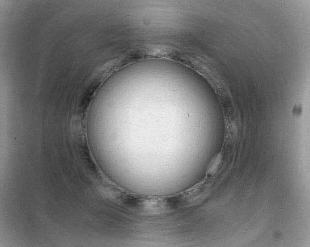 X0000102340415200808010917