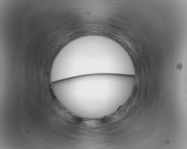 X0000102340417200808010917