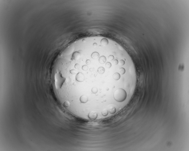 X0000102340418200808010917