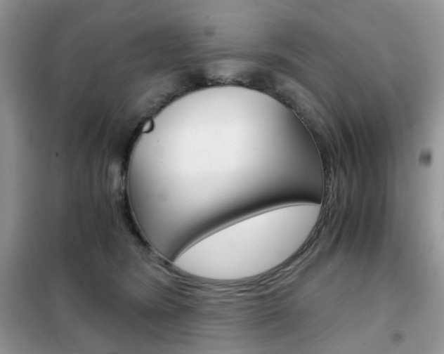 X0000102340420200808010917