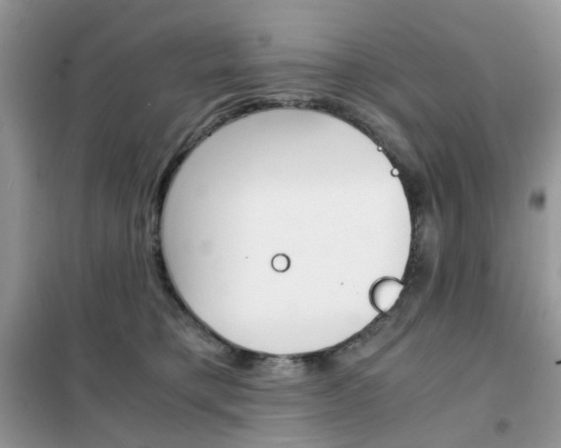 X0000102340421200808010917