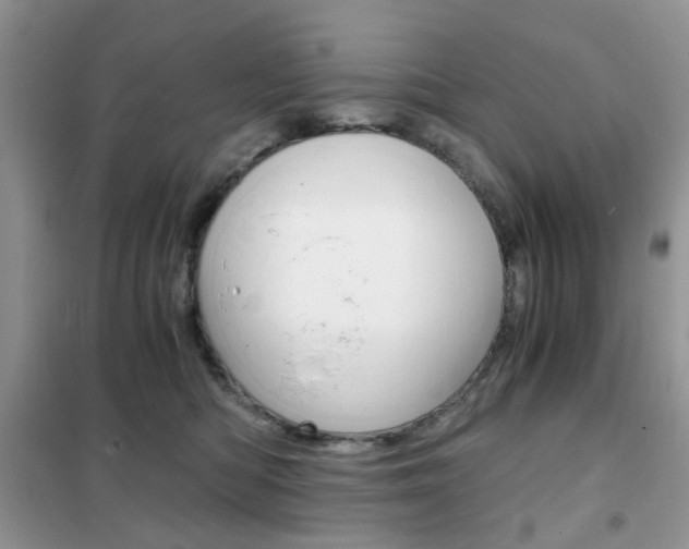 X0000102340422200808010917
