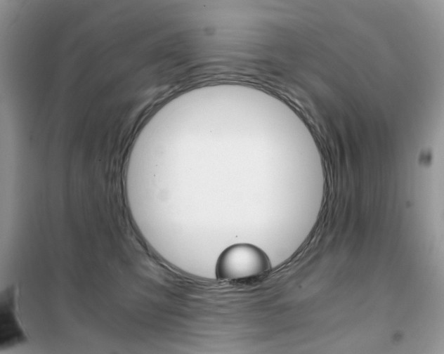 X0000102340423200808010917