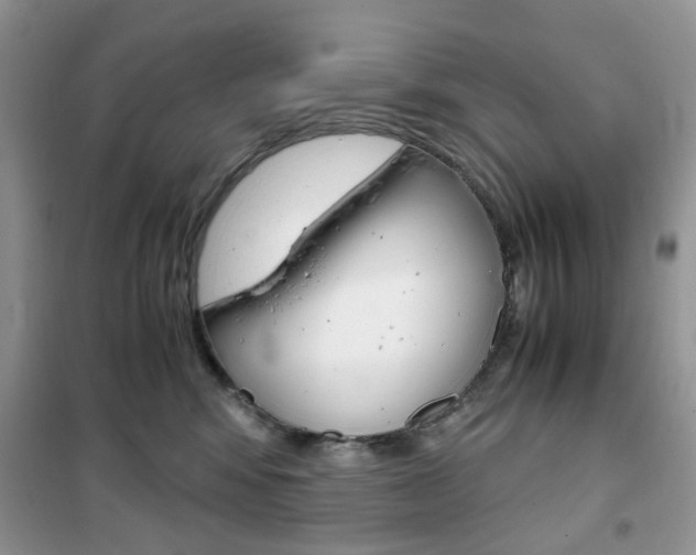 X0000102340424200808010917