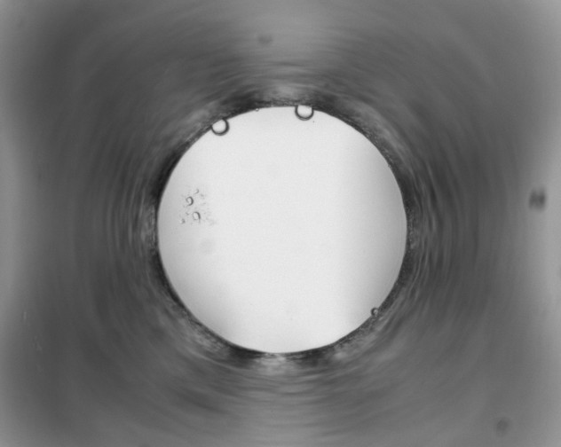 X0000102340425200808010917