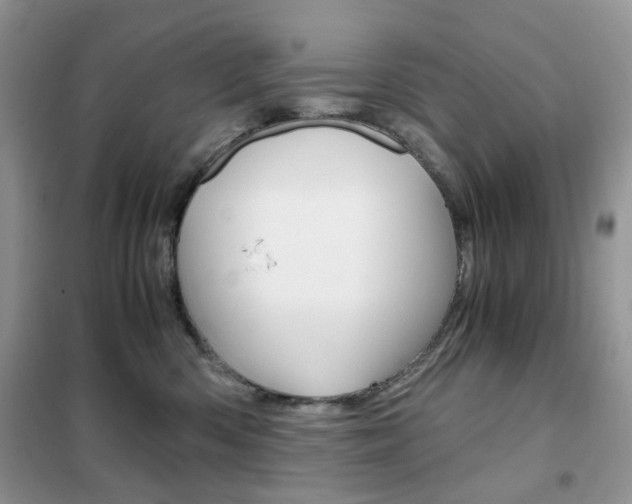X0000102340426200808010917