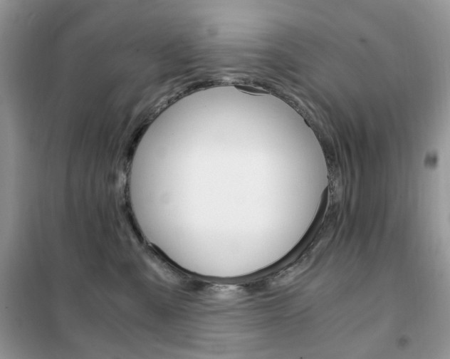 X0000102340427200808010917