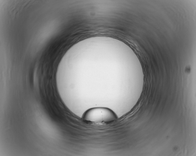 X0000102340429200808010917