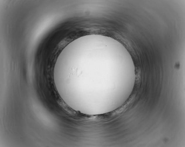 X0000102340430200808010917