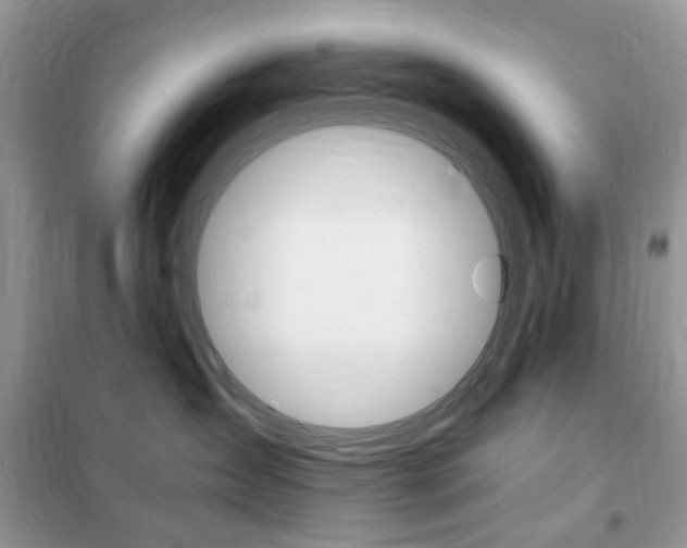 X0000102340431200808010917