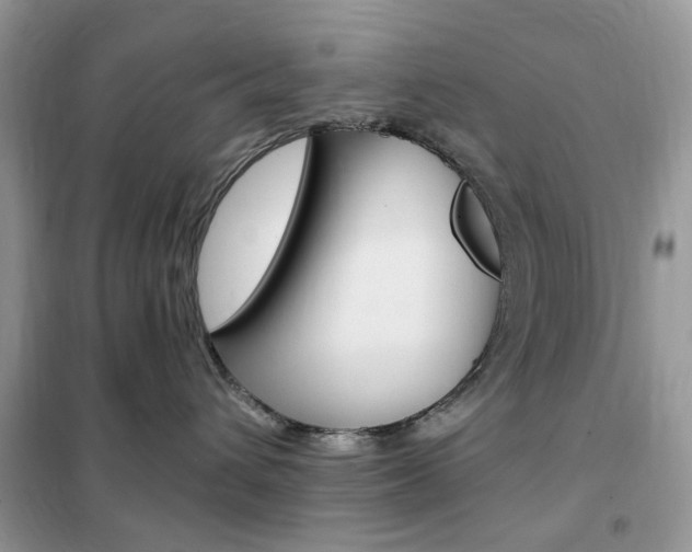 X0000102340432200808010917