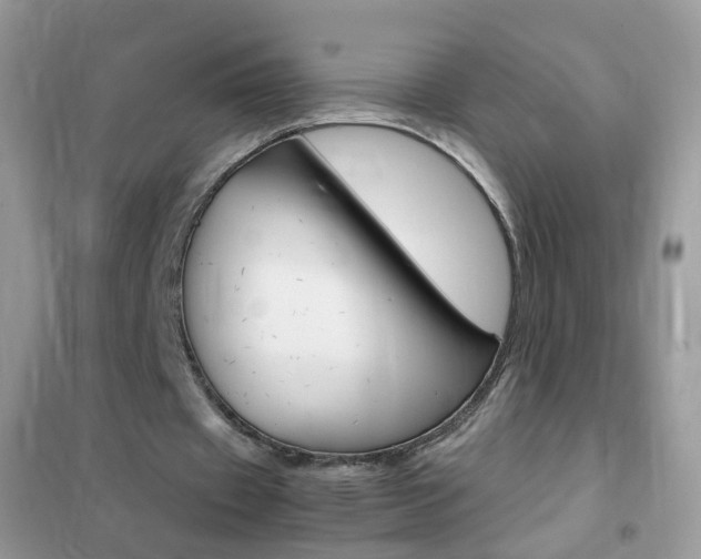 X0000102340433200808010916
