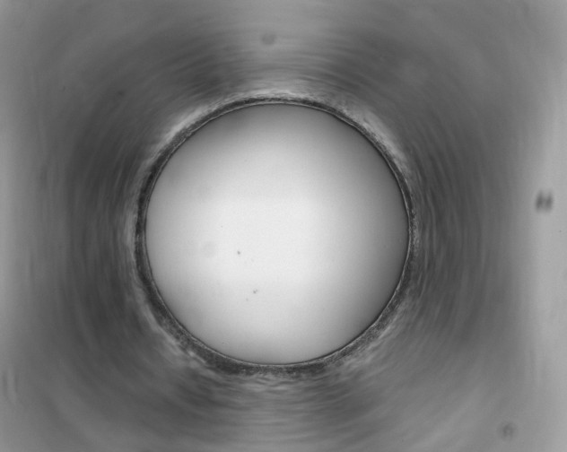 X0000102340434200808010916