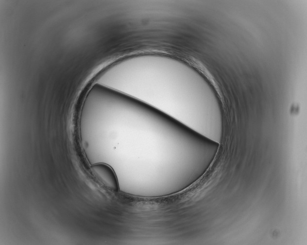 X0000102340435200808010916