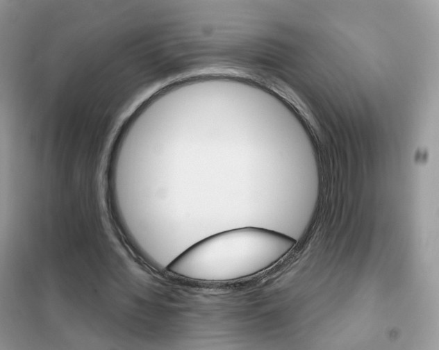 X0000102340436200808010916
