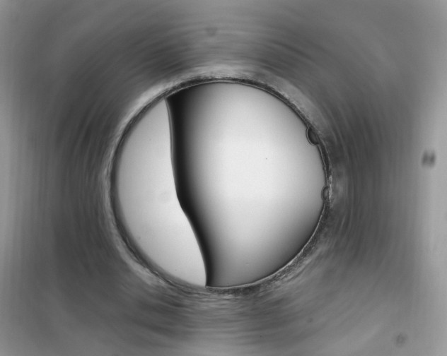 X0000102340438200808010916