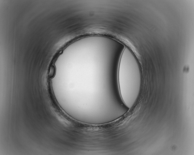 X0000102340439200808010916