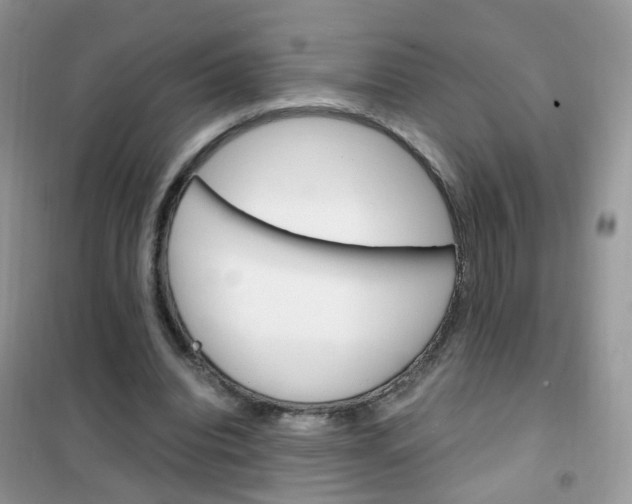 X0000102340440200808010916