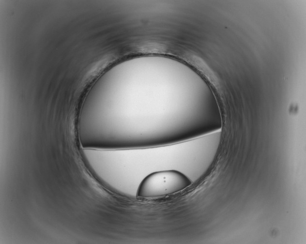 X0000102340441200808010916