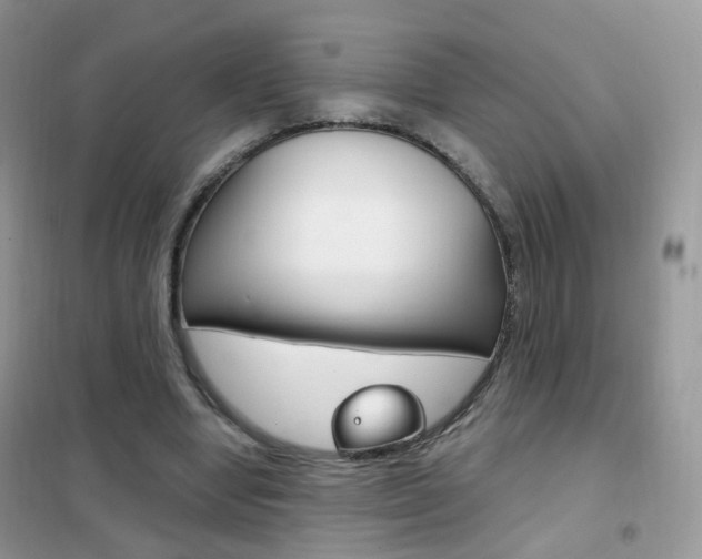 X0000102340442200808010916