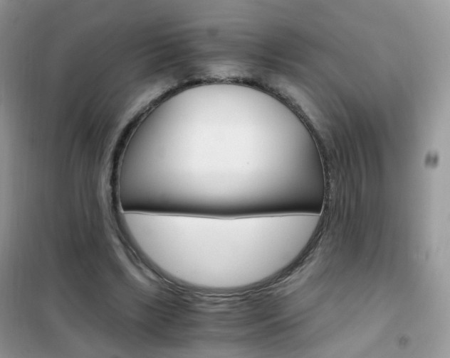 X0000102340443200808010916