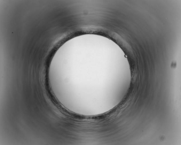 X0000102340448200808010916