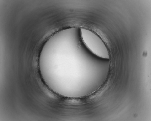 X0000102340449200808010916