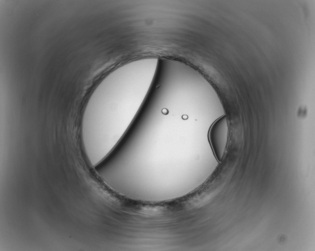 X0000102340450200808010916