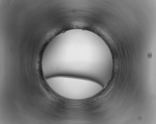 X0000102340451200808010916