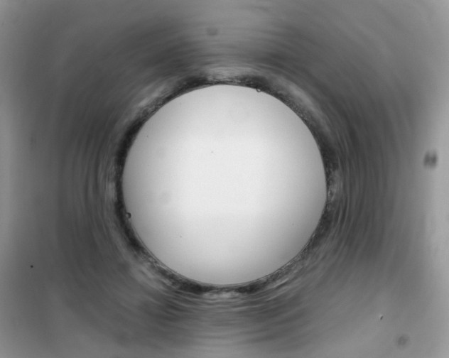 X0000102340452200808010917