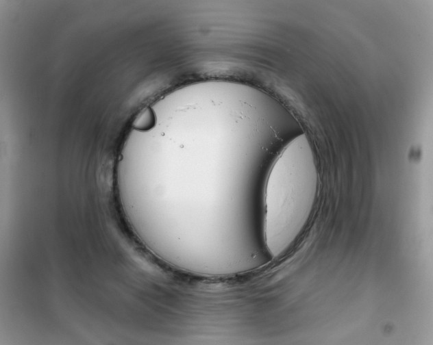 X0000102340454200808010917
