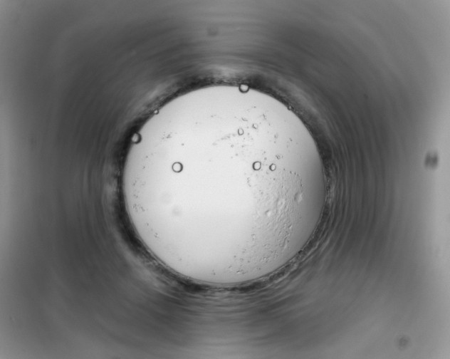 X0000102340456200808010917