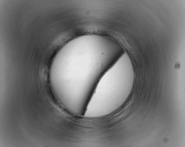 X0000102340458200808010917